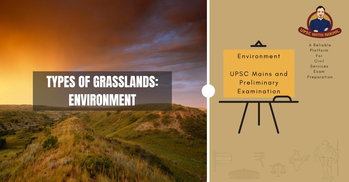 Types of Grasslands: Environme