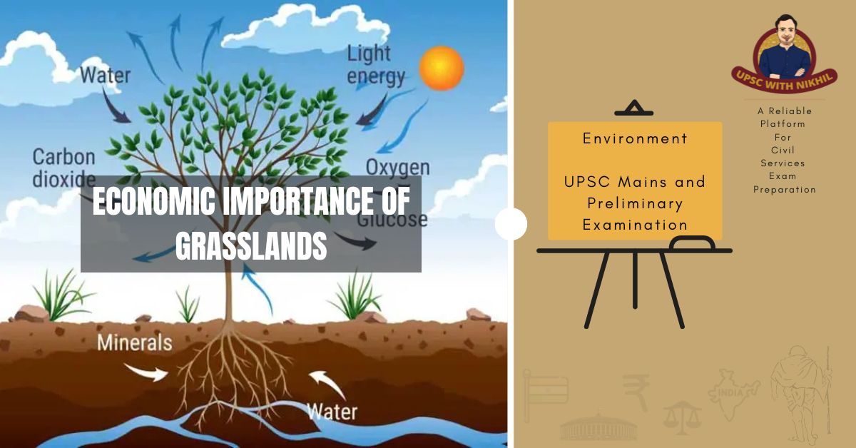 Economic Importance of Grassla