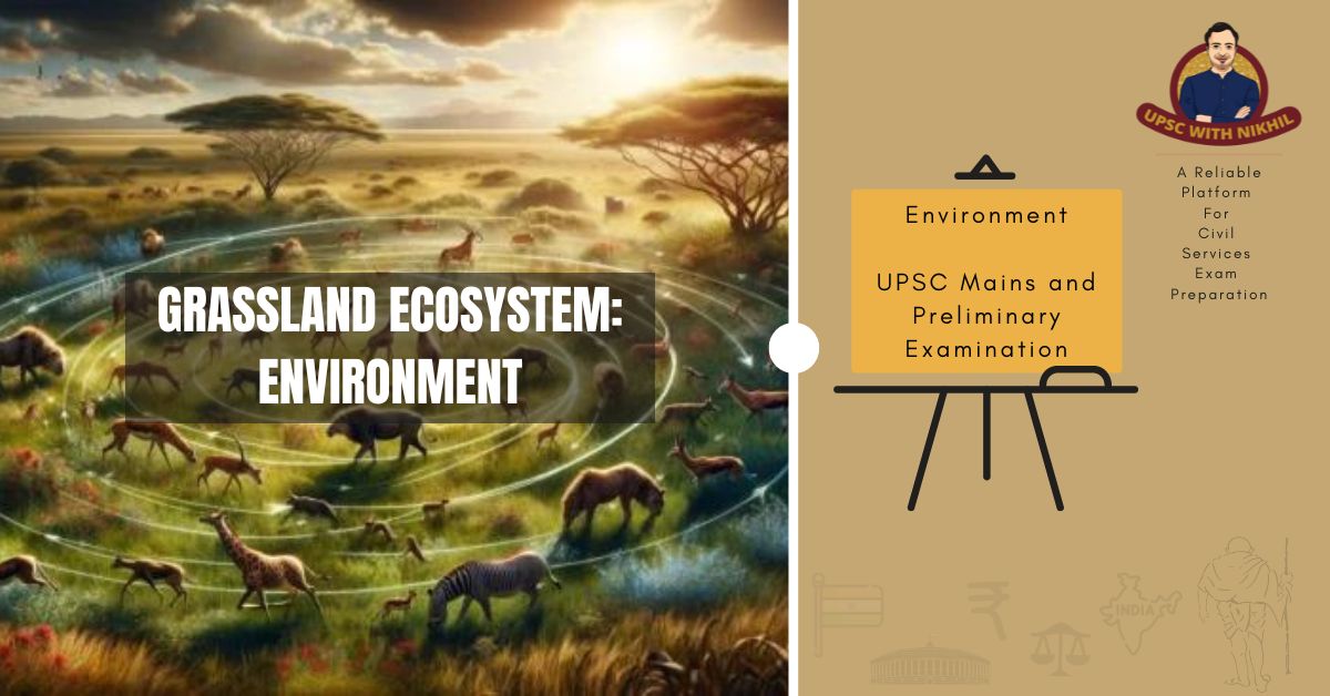 Grassland Ecosystem: Environme