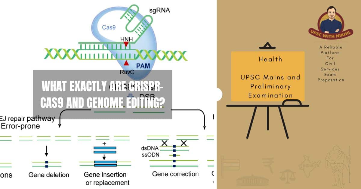 What Exactly Are CRISPR-CAS9 A